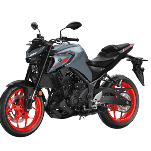 MT-03 [2021]